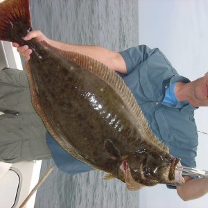 biggest halibut i caught off santa monica cali..28 lbs