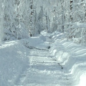 Off the beaten path What you will do for first tracks in pow