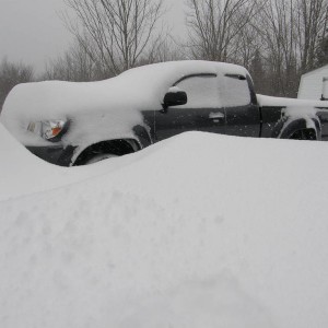 Morning after a winter storm
