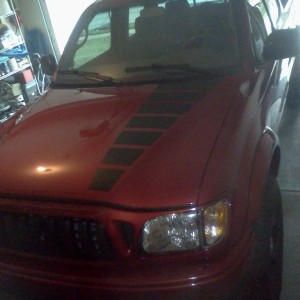 Plasti-derped