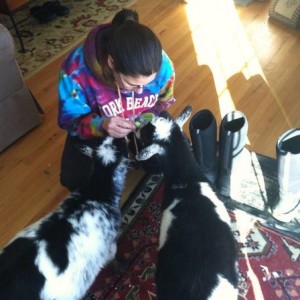 Pets
