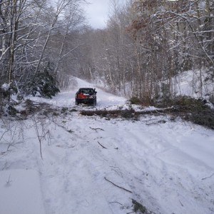 Trail.clearing.dec.26.21.1