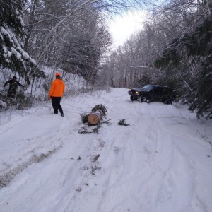 Trail.clearing.dec.26.21.2