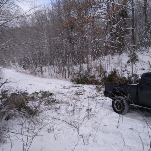 Trail.clearing.dec.26.21.3