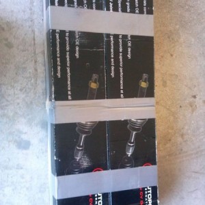 Thanks crainz277 OEM trail spares