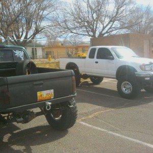 Spotted at UNM south lot