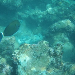 PC050341