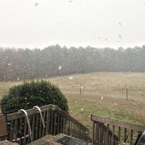 Hardest it's snowed here in a while! Just hope it lasts a while