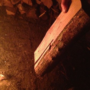 What kinda wood is this OZ?