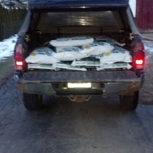800lbs in the back