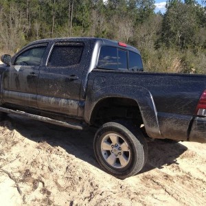 Weekend Fun