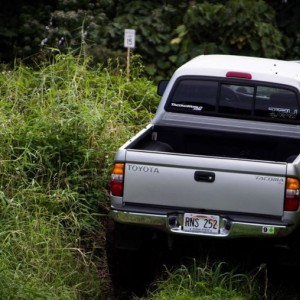 The Taco
