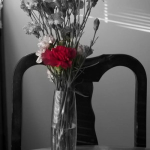 RedFlower