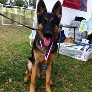 First place in longest stay at Doglympics