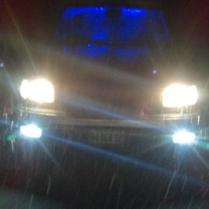 fogs14