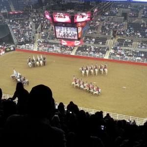 2013 PRCA finals
