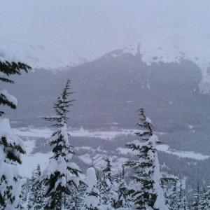 Alyeska