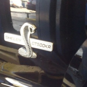 liveyRZCkO