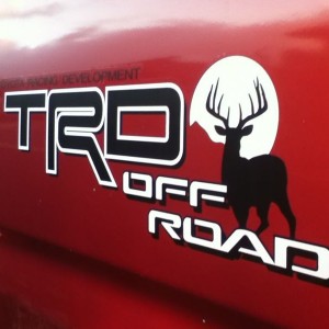 Custom sockmonkey decal