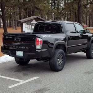 Tacoma 66