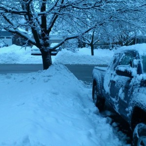 Snoww