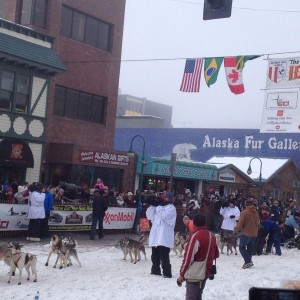Iditarod start