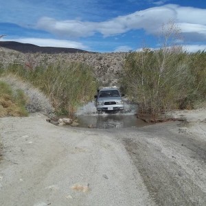 coyote canyon