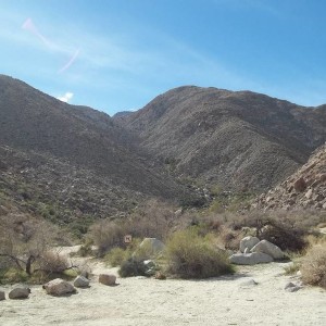 coyote canyon