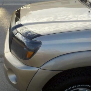 Flush-Mount_Bug_Deflector