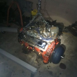 liveOzB5IB