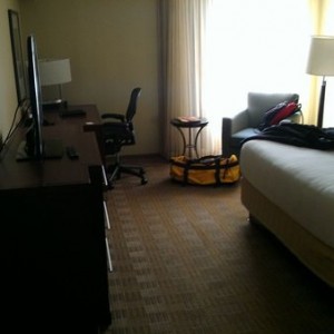 Now I wonder if a Hyatt Regency is bed bug free. It is in NY after all.