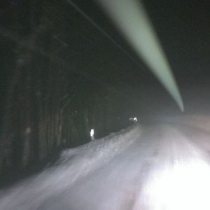 livezvTMiW