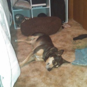 She says who needs a bed.