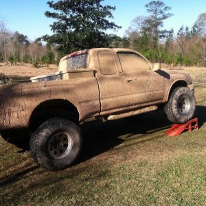 Muddy flex