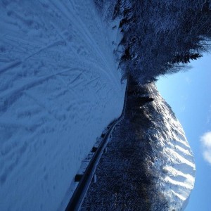 IMG_6731_1_