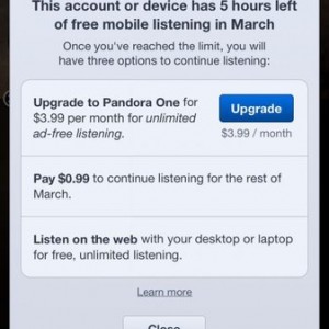 Fu pandora