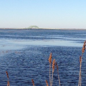 This used to be mostly marsh almost to bridge