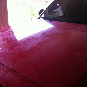 TURTLE WAX