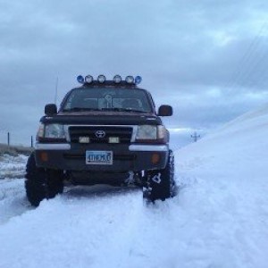 Photo02131654