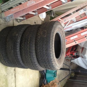 photo_2259