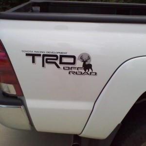 trdwt2