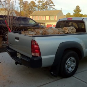 2008_tacoma_4