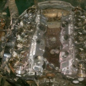 IMAG04452