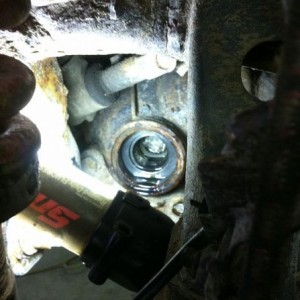 Fat: new ECGS bushing in!