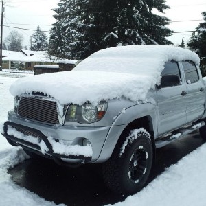avid bar snow