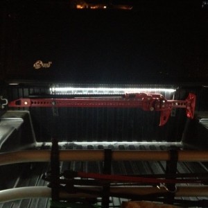bedlights1