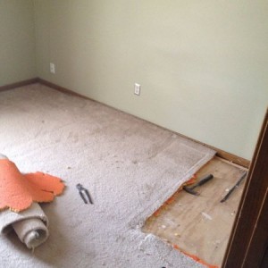 Home improvement. The beginning.