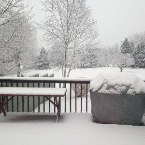 :woot: FU Spring!