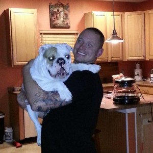 bulldog