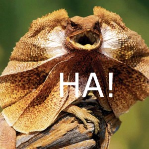 ha2